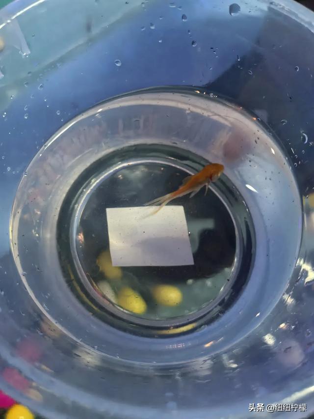 周末,带孩子到商场里的海洋世界玩一玩