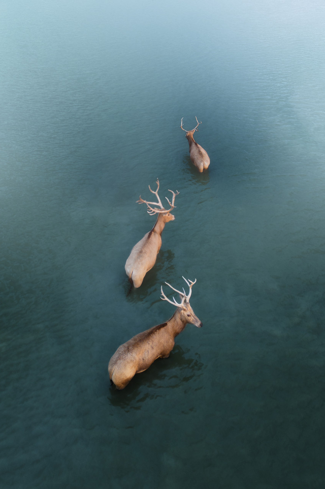 3710公里，这条避寒的20°C候鸟路线，从东北到海南，一路美到底！