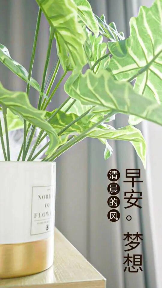 早安正能量励志句子 新的一天 请保持微笑，张开双手迎接美好的一天