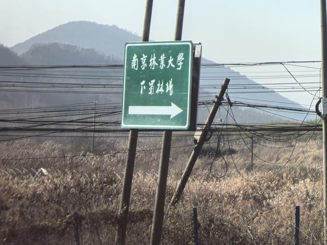 南京第二次到镇江武岐山空青山郊野徒步