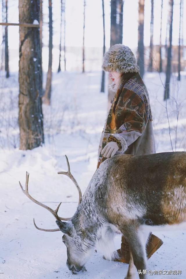 漠河六景漫游指南：从白桦林到驯鹿园，解锁极北冰雪童话