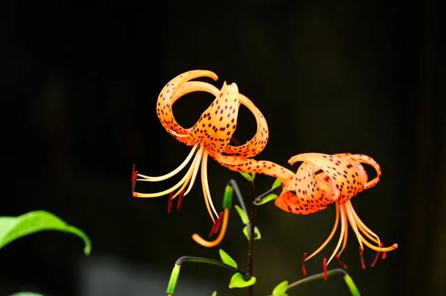 桂林：云端小南山--龙胜秘境掠影！
