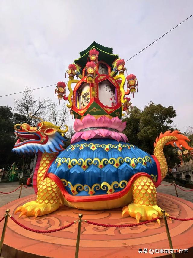 当整个南京都在追光，我在白鹭洲等一场灯与影的相逢