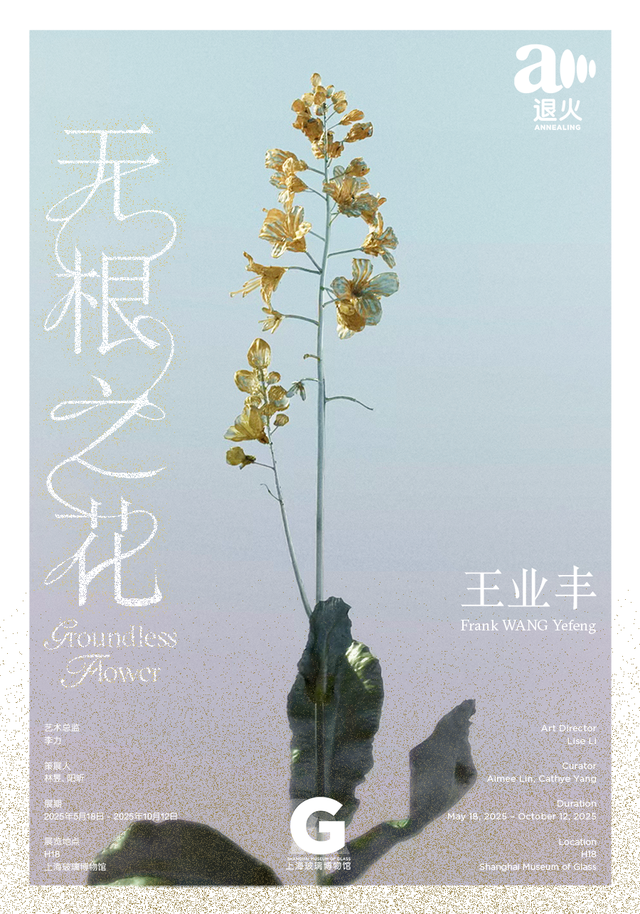 沪上博物馆12月必看展览指南已就位→