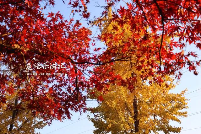 浙江宁波这处风景的秋色堪比诗画，人少景幽休闲很惬意，值得推荐