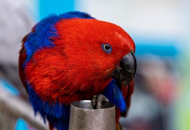 解锁退休后60-75岁的黄金2.0，开启“高能生活”的硬核攻略