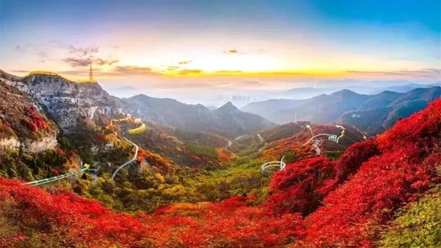 南有琅琊古城｜北有红叶柿岩，解码文旅双星炼成记