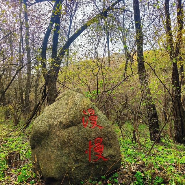 我是上海人，去萨尔许草原踩脏小白鞋，看星星尝手抓羊肉很新鲜