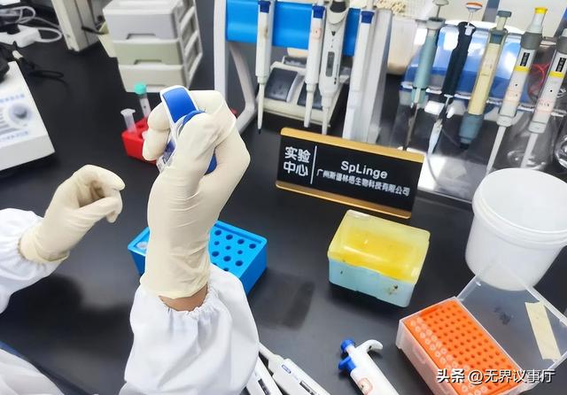 看完诺奖突然懂了:好科学从来不怕等，慢科学藏有文明底气