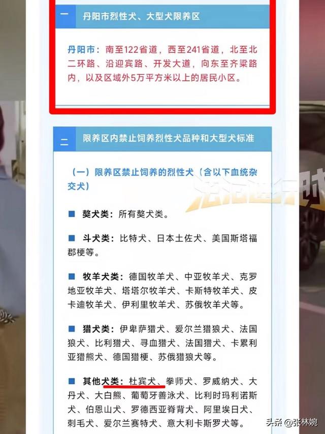 丹阳车库杜宾犬后续！报警却被要求删除视频，狗主人硬刚网友！