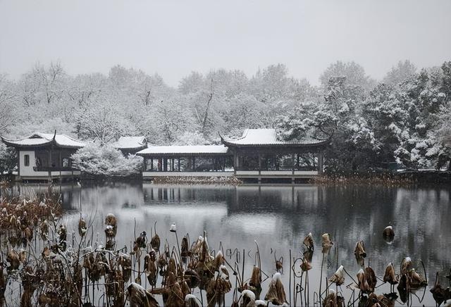 “白天立冬，暖烘烘；晚上立冬，冻死牛”，今年立冬是几点？