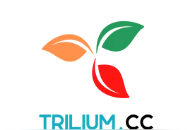 开源个人知识库工具-Trilium图片