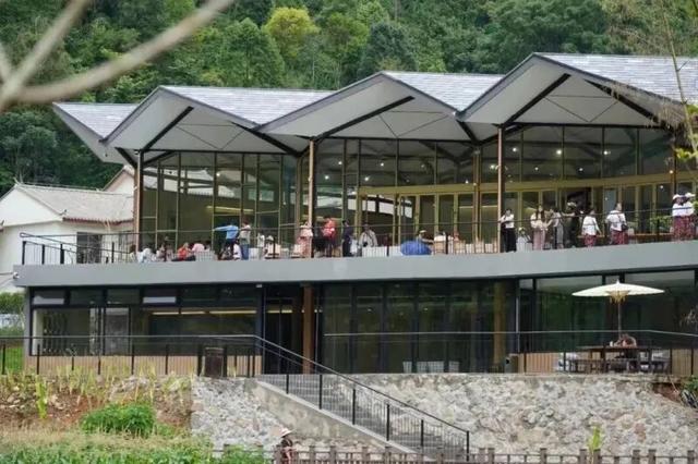 上海→普洱旅游专列首发！开启山海相连新旅程