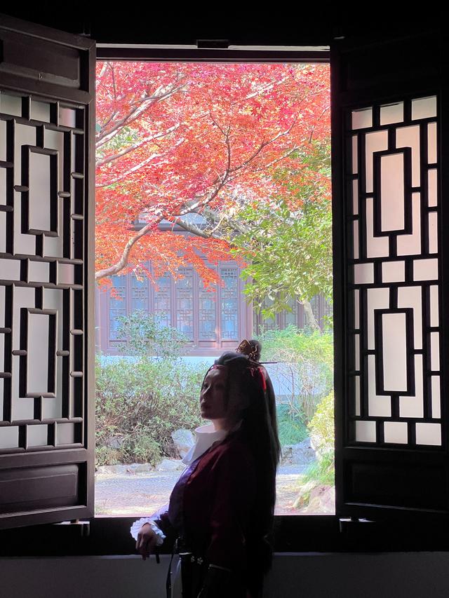 杭州红叶季：桂花之后百花杀，旖旎红叶胜百花。