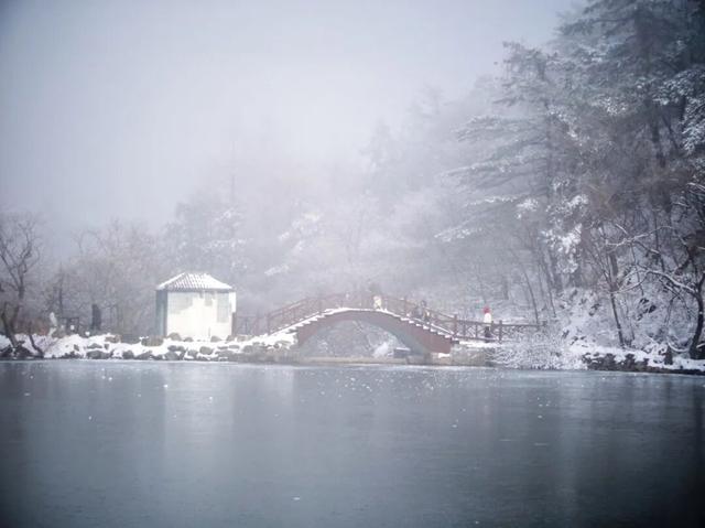 又来？这样的随州，你见没见过？