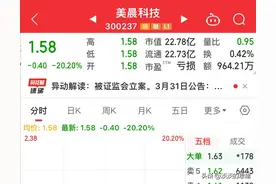 突发暴雷，5只股票一字跌停，买的时候好好的，45万股东懵了！图片