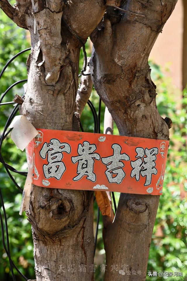 商丘电厂家属院