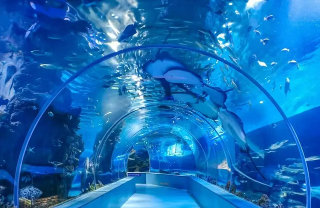 临沂人游临沂 | 一大波景区优惠福利来了