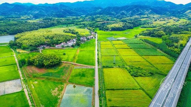 湖北赤壁：蓝天白云映绿野 碧水金稻漫山岗