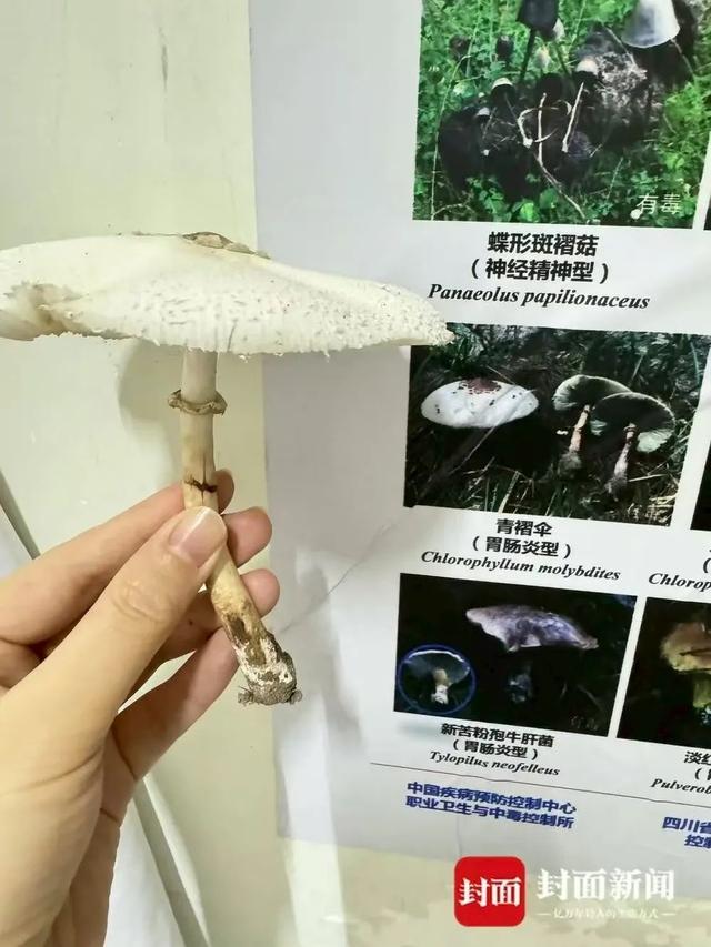 夫妻双双中毒！紧急提醒：网上卖的这种全是假的！