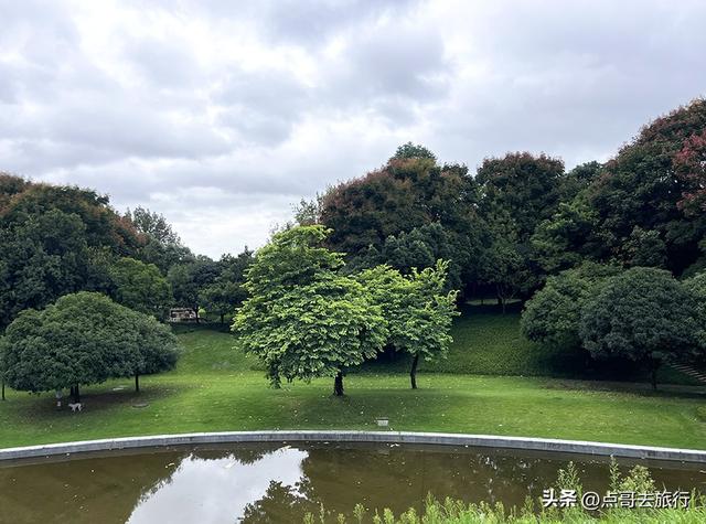 成都公园难得一见的旷野之景，画面超级唯美，地铁公交到达！