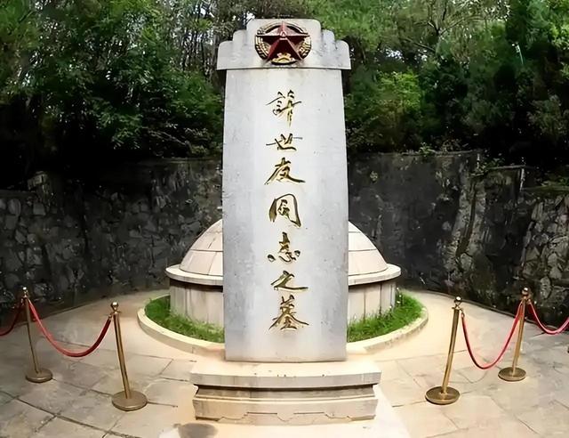 许世友下葬后，王震用拐杖指着参加葬礼的老将们：可千万不能学他