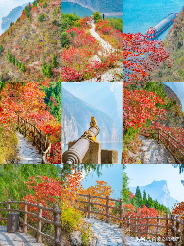 徒步三峡：霜叶漫山处，一步一千年