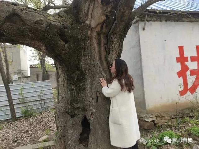 李富贵带老人们旅行，九年前，我也做过类似的事儿！
