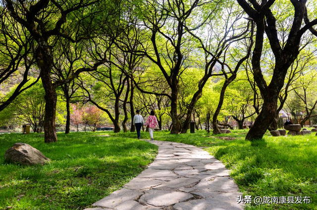阳坝镇：在这片秘境里 邂逅文旅康养的诗意