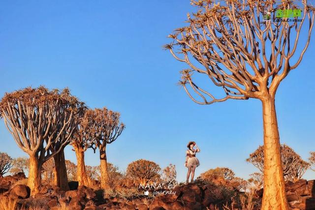 她走过80多个国家地区，穿着汉服去旅行，让华夏之美走向世界！