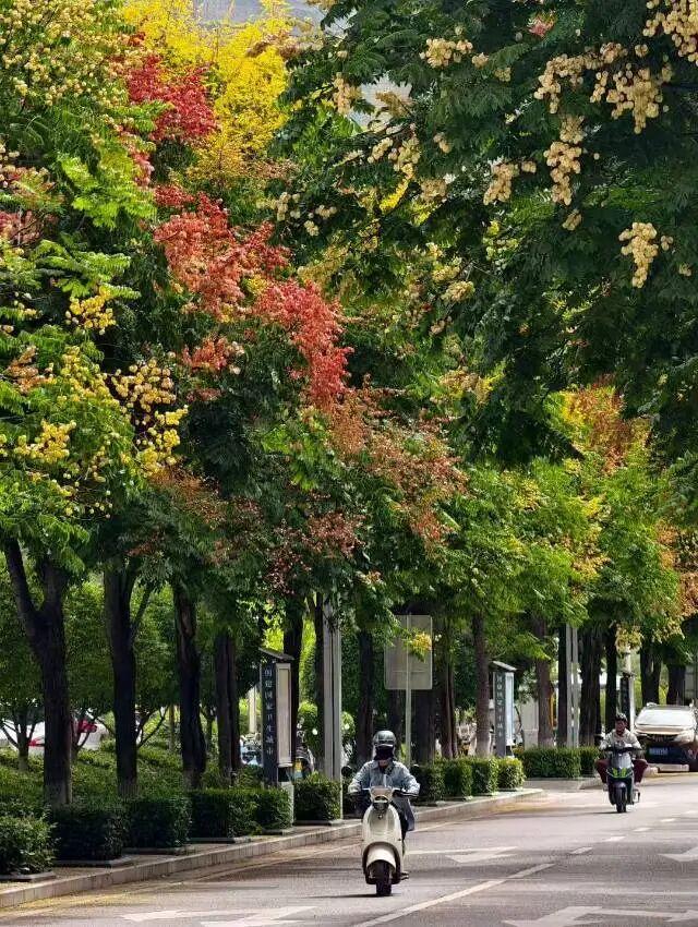 秋天的陇南，有什么好看的？