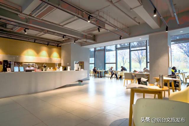 【乐游烟台】烟台这几家“不正经书店”火了!读书还能这样?