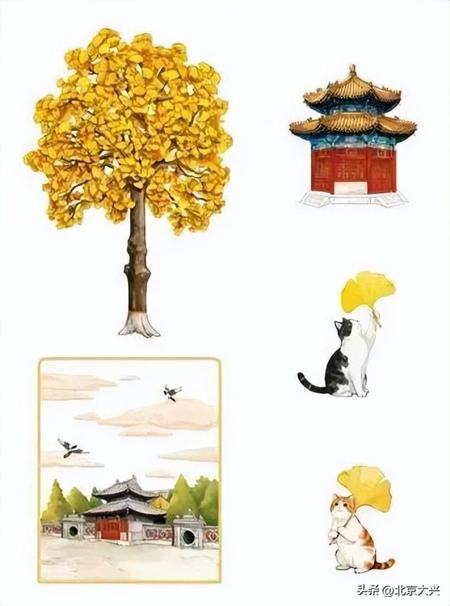 绝美！北京秋季颜值已达巅峰！这样定格最美秋天！