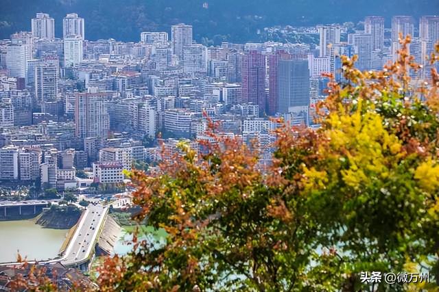 变了！变了！南山公园、新城路、都历山、天生城……