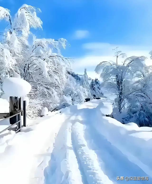 真正的情人，从不是一时心动	，而是有情有爱，牵挂一生