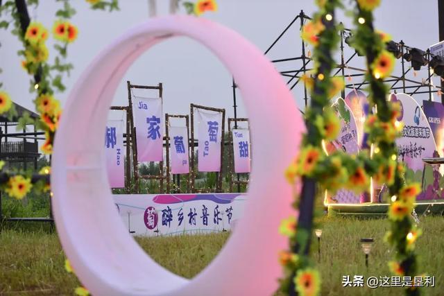 当葡萄遇见音乐与汽车——郝家镇第十九届葡萄文化旅游采摘节玩出“新花样”