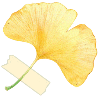 西安城区4个绝美秋景打卡地！