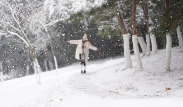 寒假出行 | 本来打算去日本的，都扎堆去俄罗斯了？