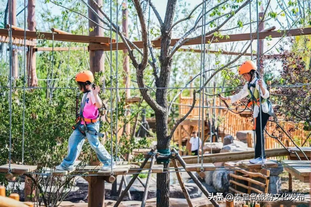 2025年度盘点（旅游篇）：新质生产力赋能全国滨海旅游目的地建设