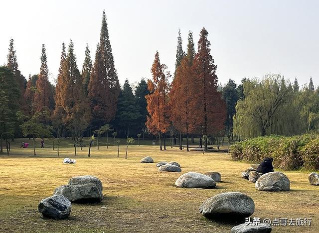 成都城市中的草原牧场，彩林比阿勒泰还美，公交车地铁直达！