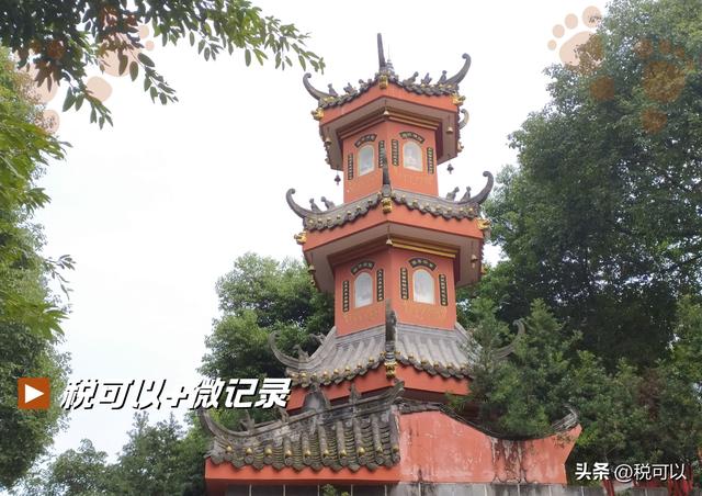 游郫都平乐寺：君平故里寻古意，一碗素茶享清幽