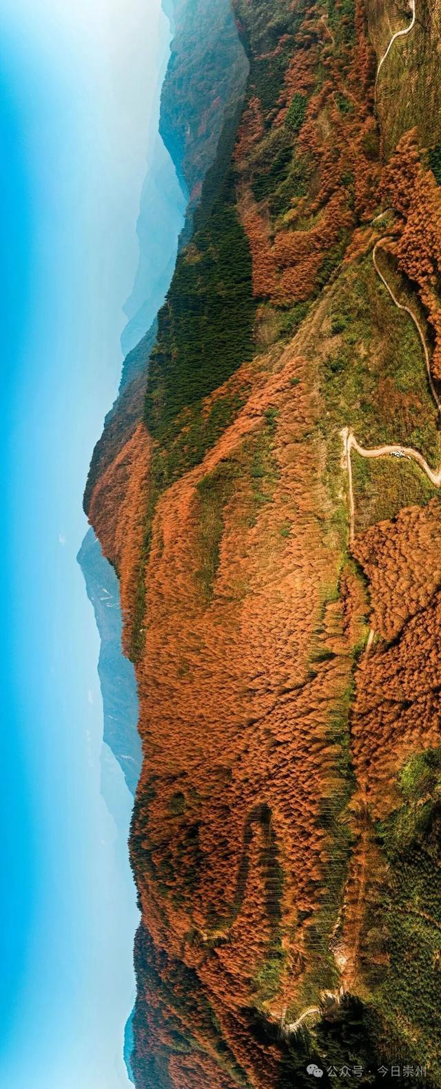 崇州彩林天花板🤩🤩🤩谁还没去过？