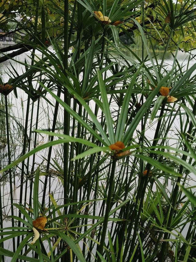 南行漫记：放慢行走的脚步，我们在南充休整