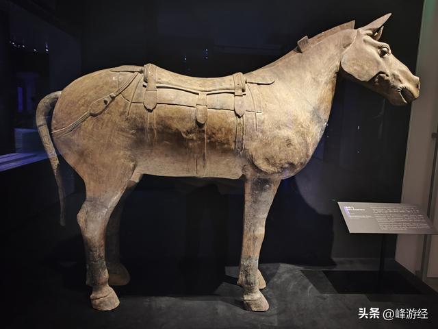 走进陕西历史博物馆秦汉馆，寻找镇馆之宝