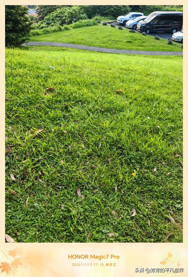 铺展到天际的绿地毯