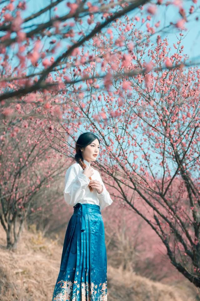 冬日寻梅记：黄陂这两处秘境，已被梅香腌入味！