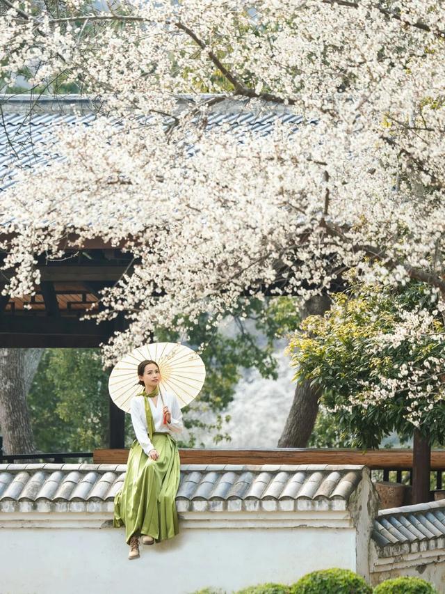 踏雪寻梅！限定版冬日浪漫，来黄陂接收！