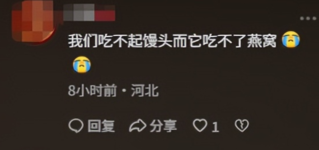 一级演员闫学晶塌房，她做错了两件事