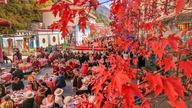 今年理县红叶开挂了！红得惊动天地，美到不可方物