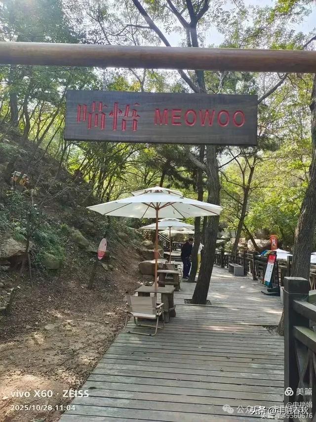 青岛大珠山记：从石门寺到拜佛台的云端巡礼｜ 申艳娟